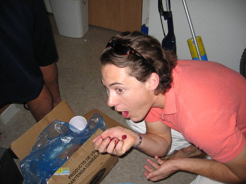 First real weekend 053 hunter/gatherer mmm raspberries